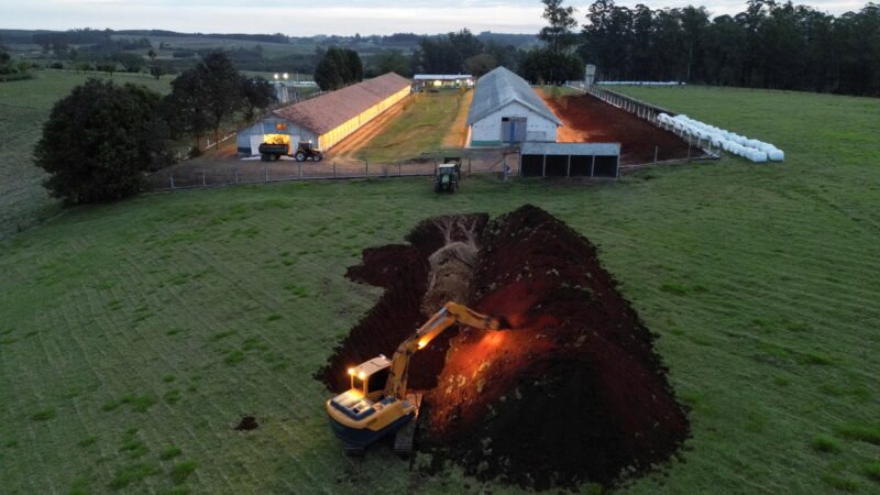Brasil vai se declarar livre da gripe aviária nesta quarta, diz secretário do Ministério da Agricultura