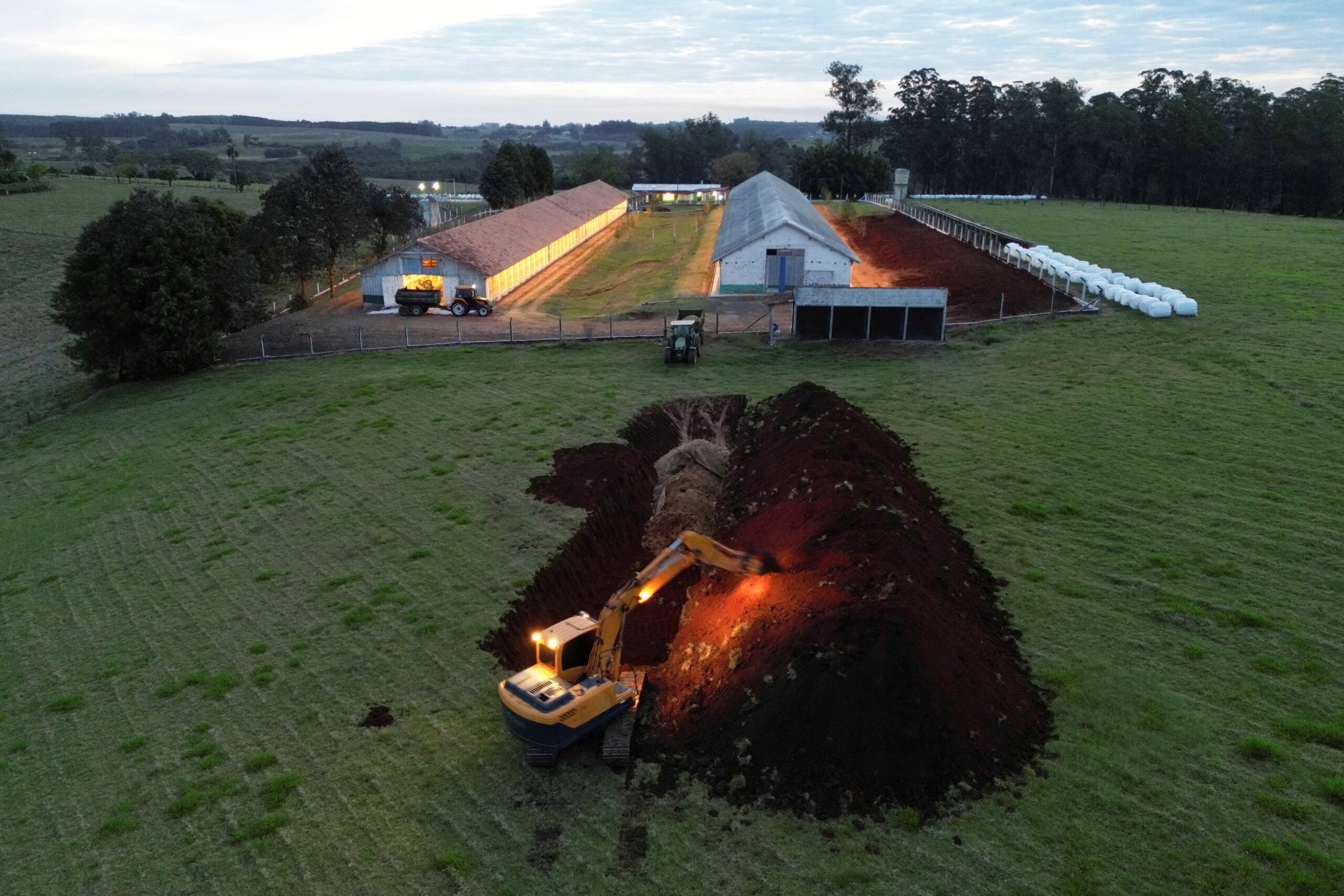 Brasil vai se declarar livre da gripe aviária nesta quarta, diz secretário do Ministério da Agricultura