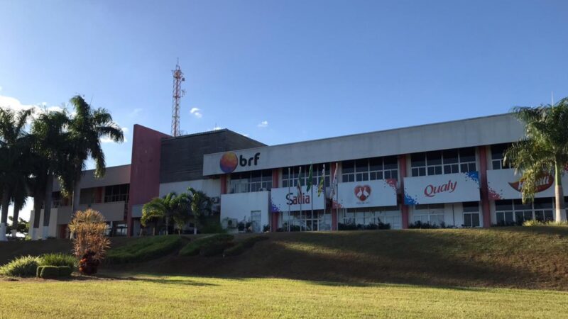 BRF abate 74 mil galinhas de forma preventiva para evitar risco de gripe aviária, em Goiás