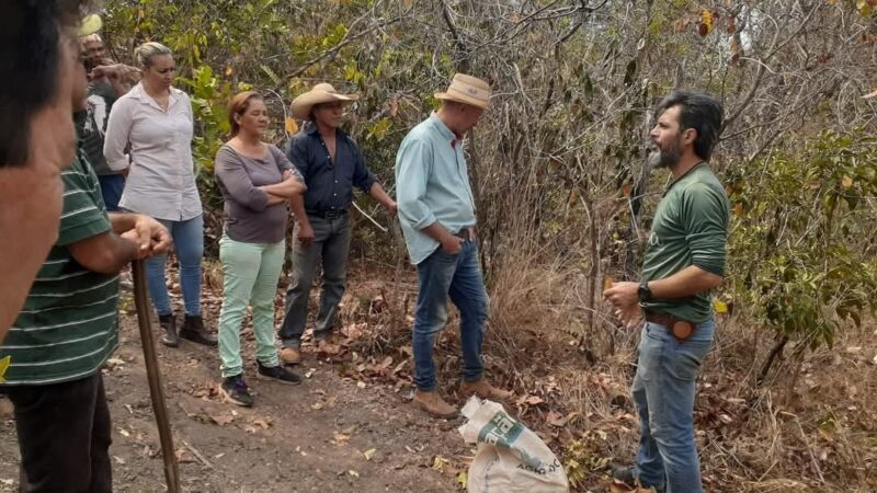Agroecologia: saiba como a valorização da ancestralidade pode garantir o futuro da produção de alimentos para próximas gerações