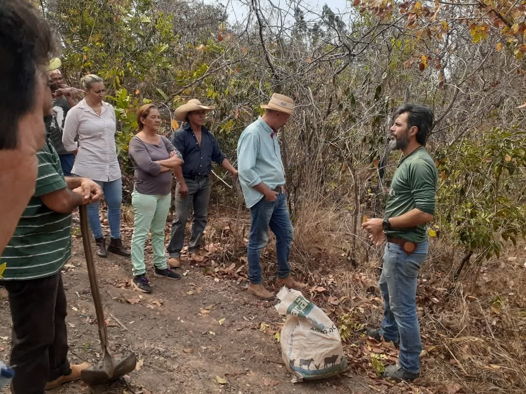 Agroecologia: saiba como a valorização da ancestralidade pode garantir o futuro da produção de alimentos para próximas gerações