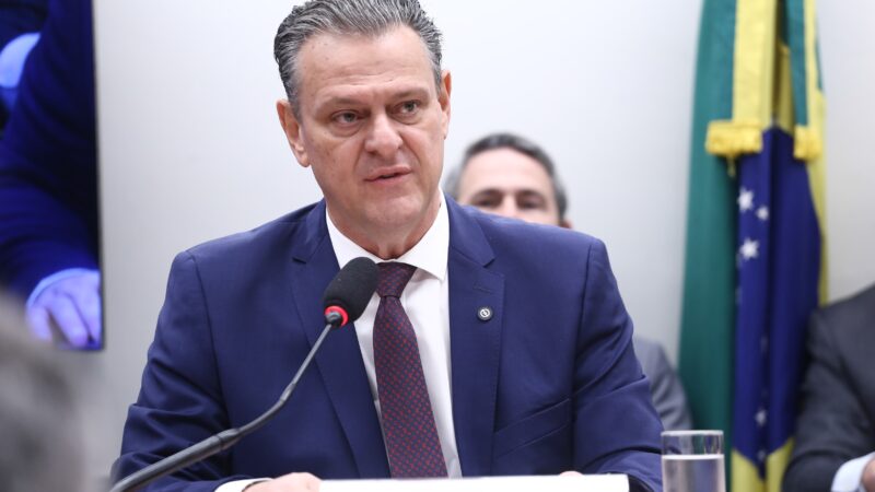 Fávaro quer discussão sobre vacinação contra gripe aviária sem restrição de mercados