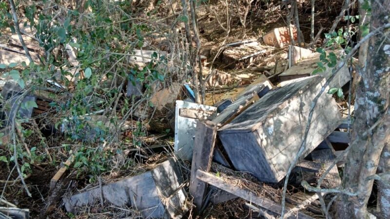 Lavouras embaixo d’água outra vez no RS: agricultores relatam destruição e morte de peixes, colmeias e gado