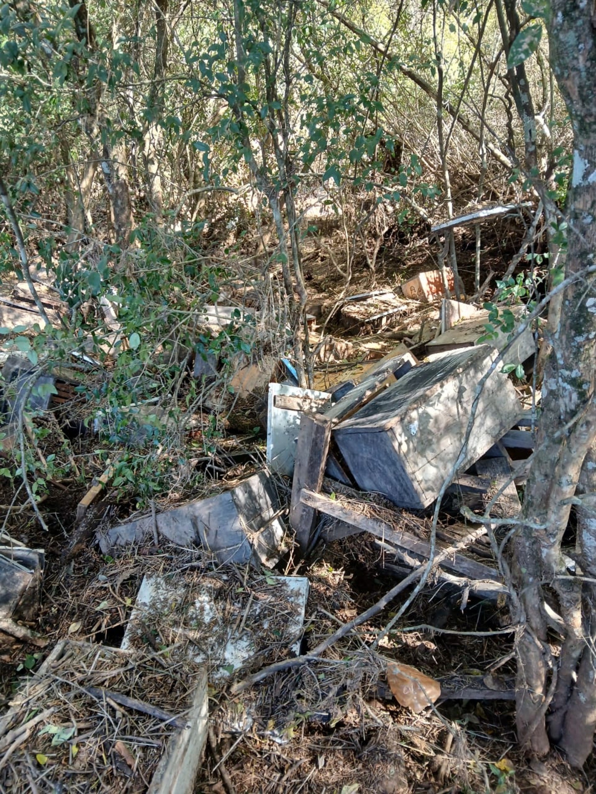 Lavouras embaixo d’água outra vez no RS: agricultores relatam destruição e morte de peixes, colmeias e gado