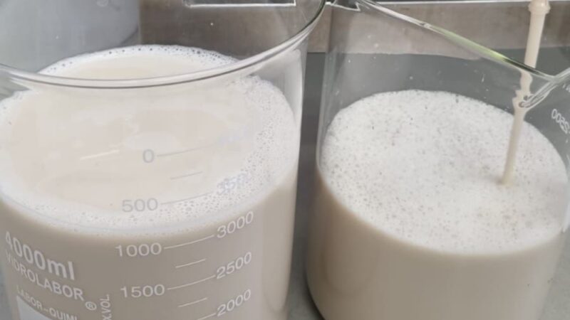 Leite sem vaca: empresa brasileira insere DNA bovino em microrganismos para produzir a bebida; entenda