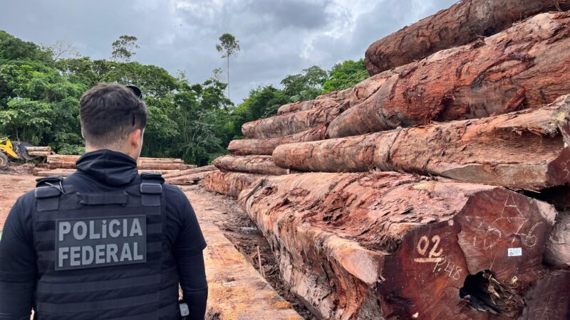 Ministério da Justiça elabora projeto para punir o crime de ‘ecocídio’ com pena de até 30 anos de prisão