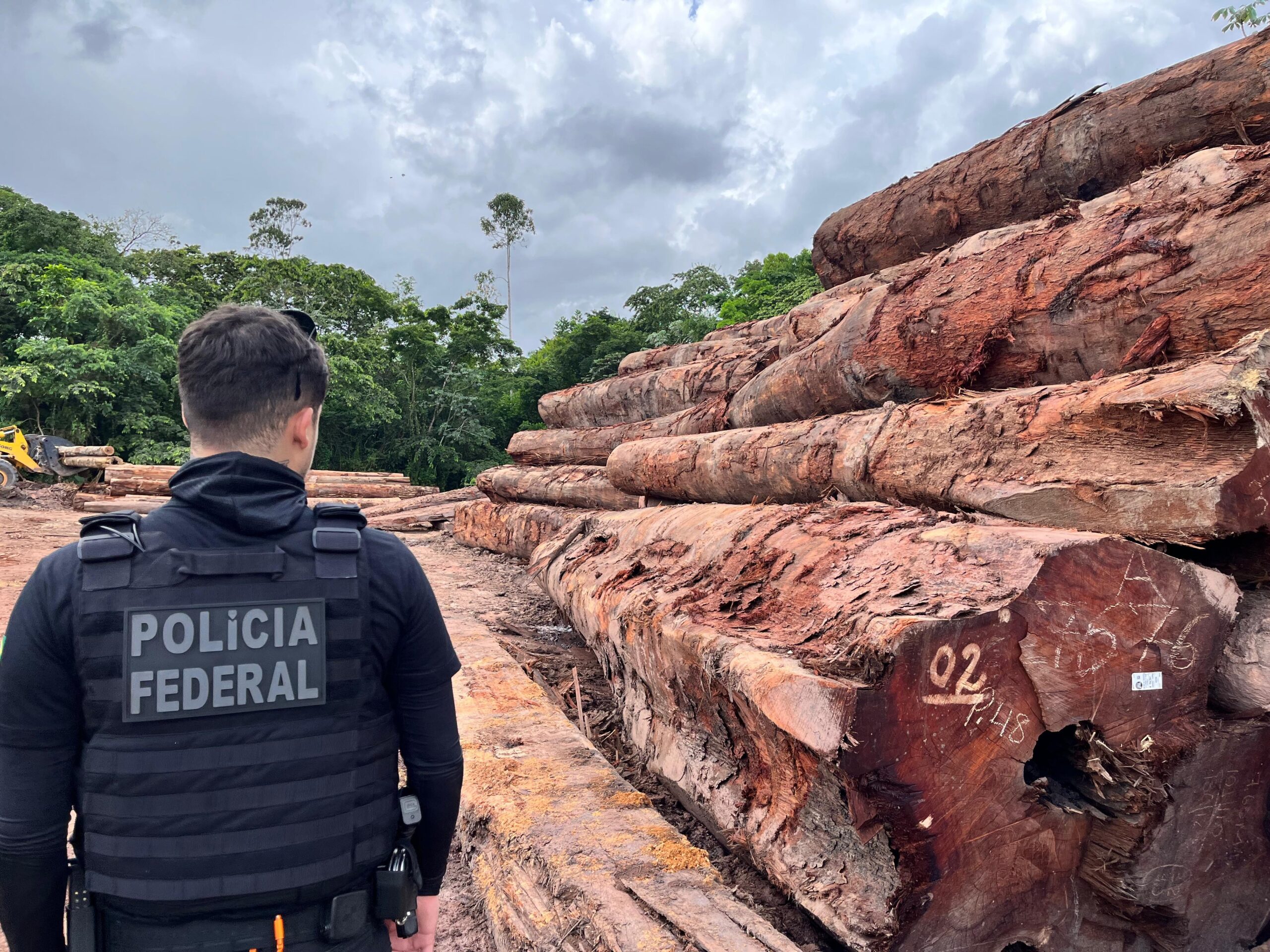 Ministério da Justiça elabora projeto para punir o crime de ‘ecocídio’ com pena de até 30 anos de prisão
