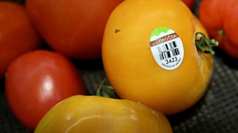 EUA impõem tarifa de 17% sobre o tomate importado do México