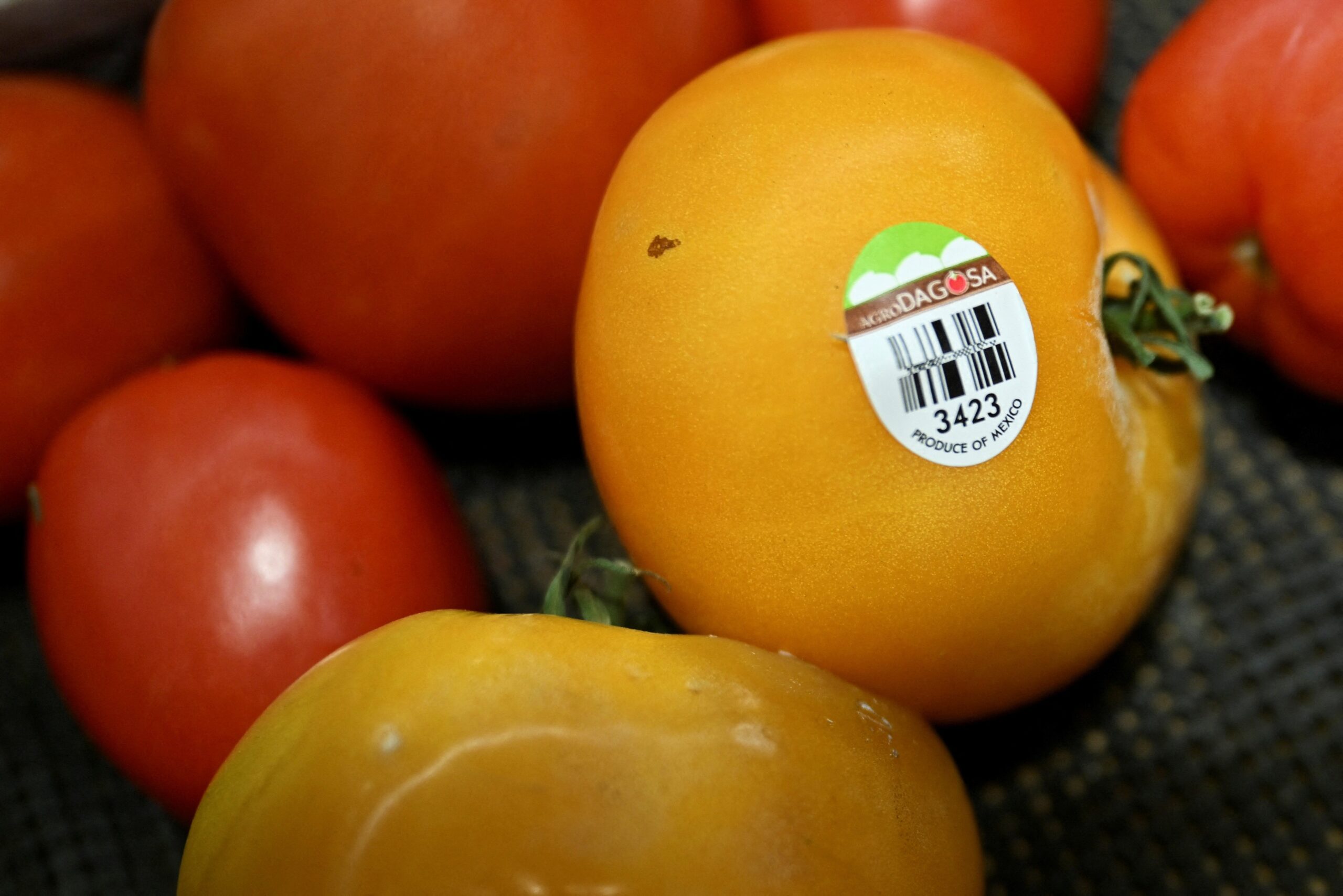EUA impõem tarifa de 17% sobre o tomate importado do México