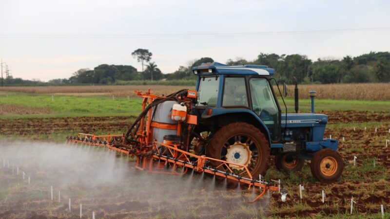Governo lança programa para diminuir o uso de agrotóxicos na agricultura