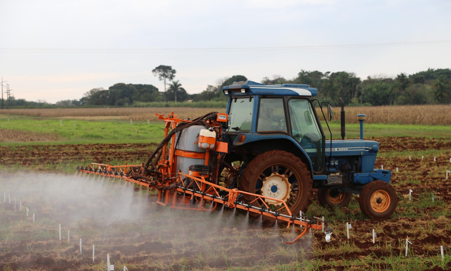 Governo lança programa para reduzir o uso de agrotóxicos na agricultura