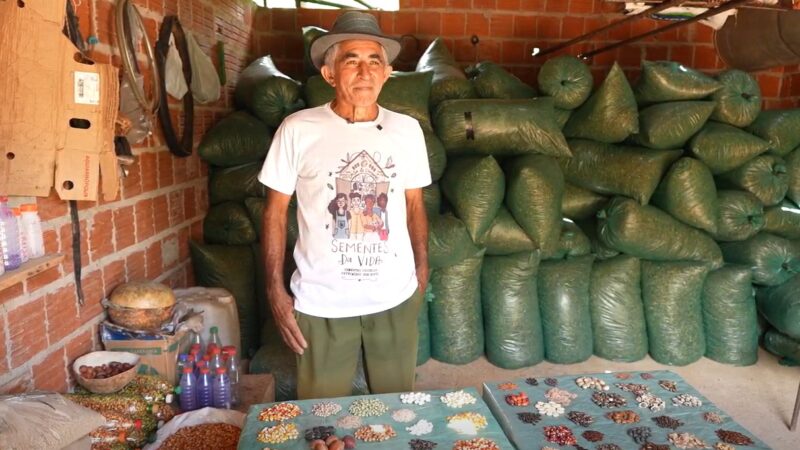 Conhece o feijão barrigudo? E o trivicía? Guardião de sementes do sertão do Araripe preserva grãos que mantêm viva cultura regional