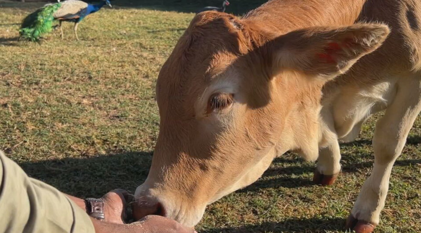 Zona rural atrai visitantes que buscam sossego e experiências no campo