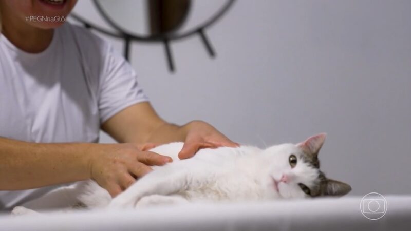 Empreendedora transforma pousada em destino 100% pet friendly e fatura R$ 1,8 milhão por ano