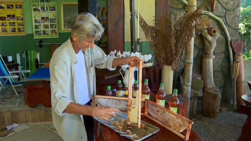 Agricultor investe em mel para cuidar da saúde e produção se torna negócio lucrativo de mais de 40 anos no ES