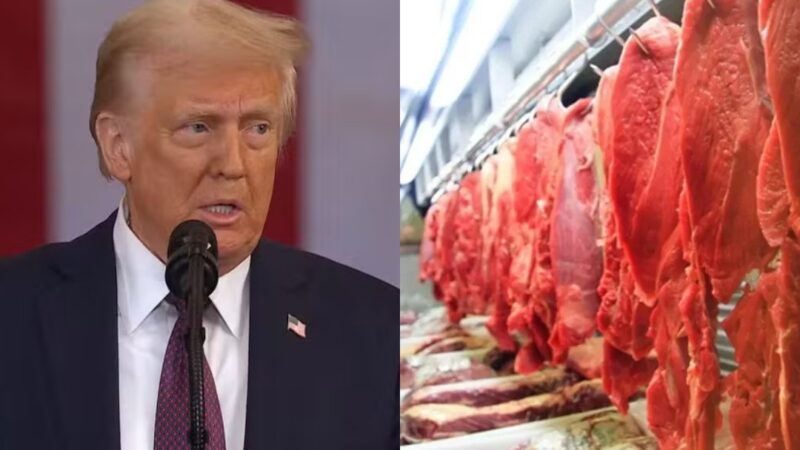 Adiamento do tarifaço de Trump poupa 30 mil toneladas de carne embarcadas