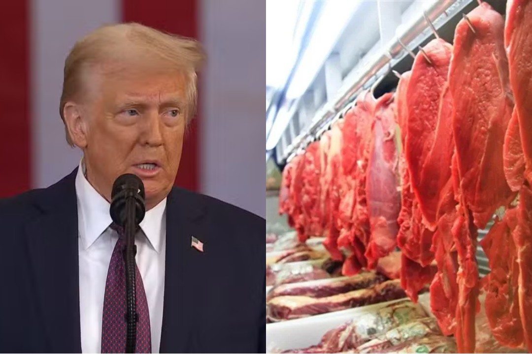 Adiamento do tarifaço de Trump poupa 30 mil toneladas de carne embarcadas