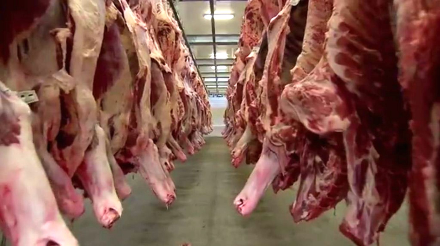 Frigoríficos de MS paralisam produção de carne destinada aos EUA após tarifaço de Trump