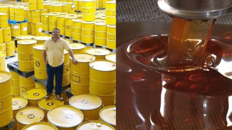 Após tarifaço de Trump contra o Brasil, exportador de mel orgânico perde venda de 585 toneladas