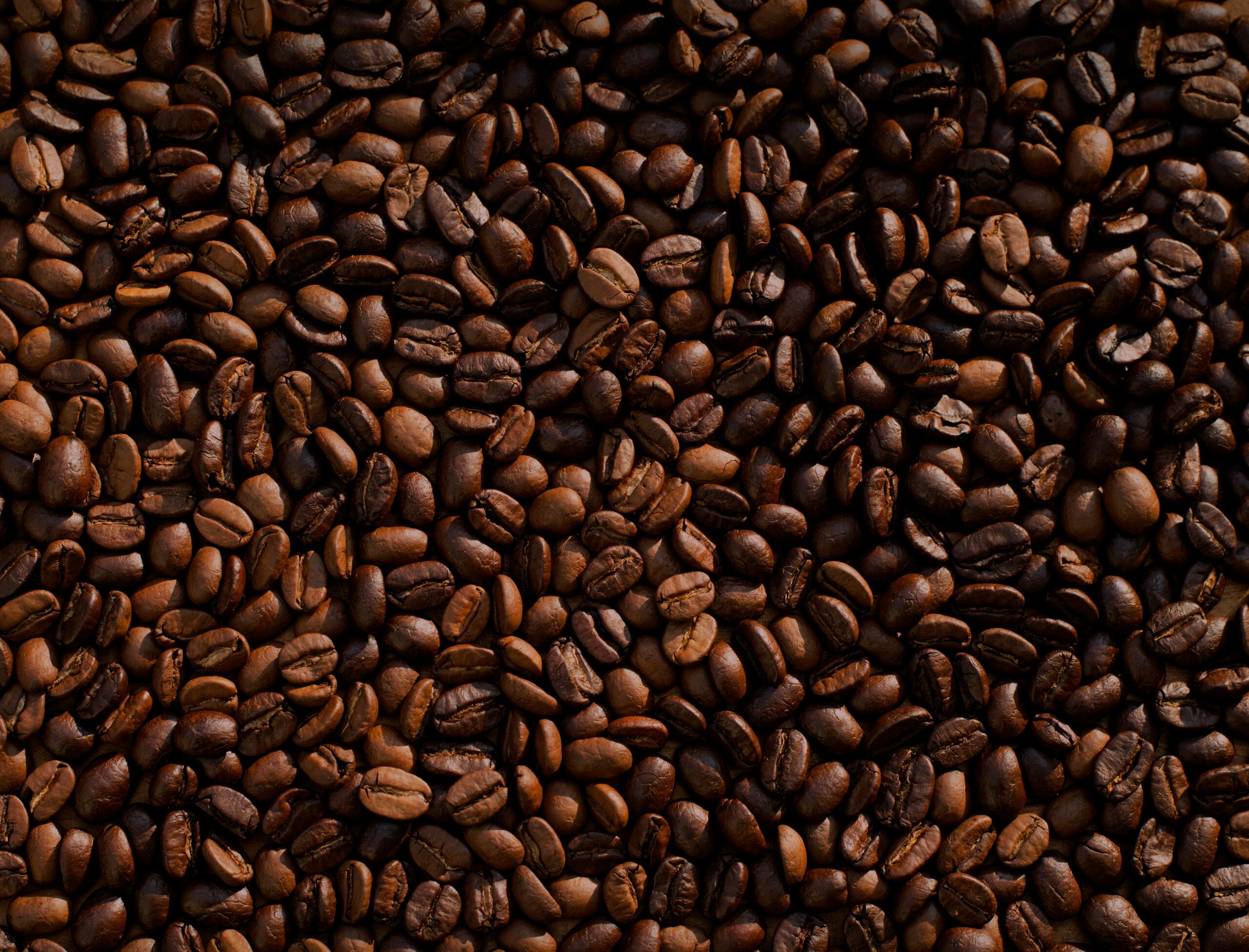 Café bom do Brasil vai todo para fora? De onde vem essa ideia e como o Tarcísio Meira ajudou a mudar essa imagem