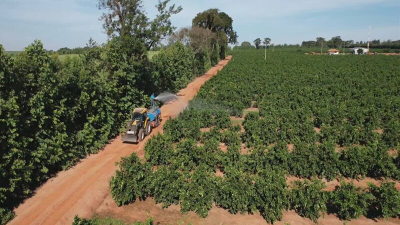 Produtores tentam se proteger contra ameaça de incêndios na seca
