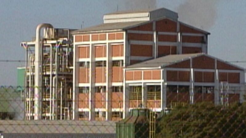 Usina Santa Elisa: suspensão das operações pode gerar efeito cascata, diz centro nacional de bioenergia