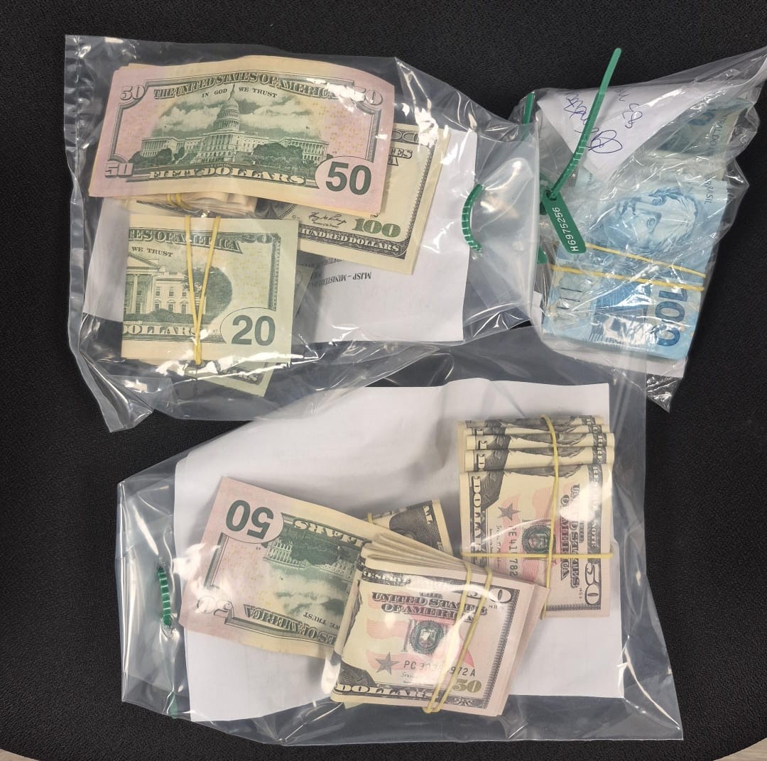 Polícia Federal apreendeu dinheiro vivo na casa de Bolsonaro; veja imagens