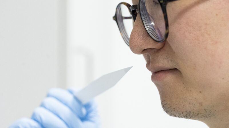 Conheça os farejadores profissionais pagos para criar aromas do dia a dia (e não são perfumes)