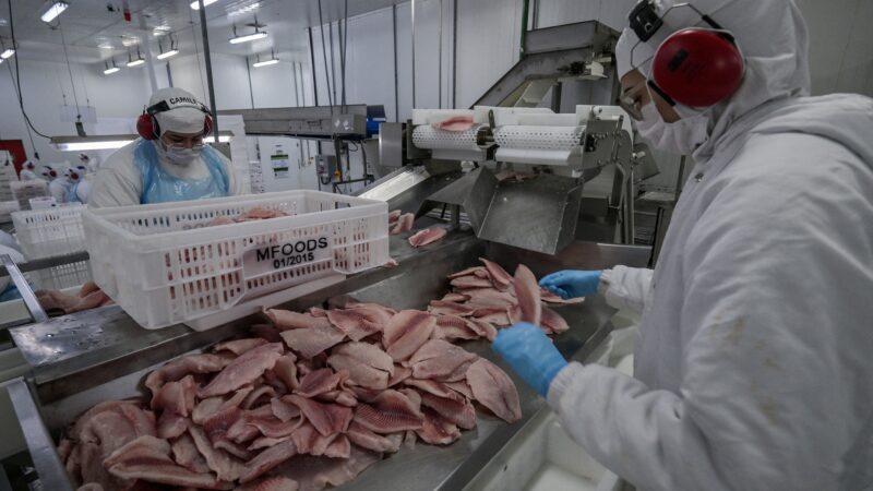 Governo vai comprar pescado, mel e frutas de produtores afetados por tarifaço, mas deixa café e carne fora de lista