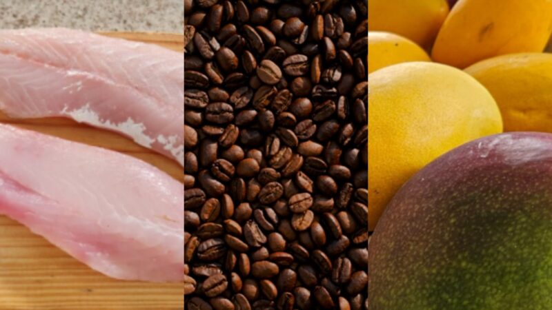 Tarifaço: dá para mandar os alimentos que iriam para os EUA para outros mercados?