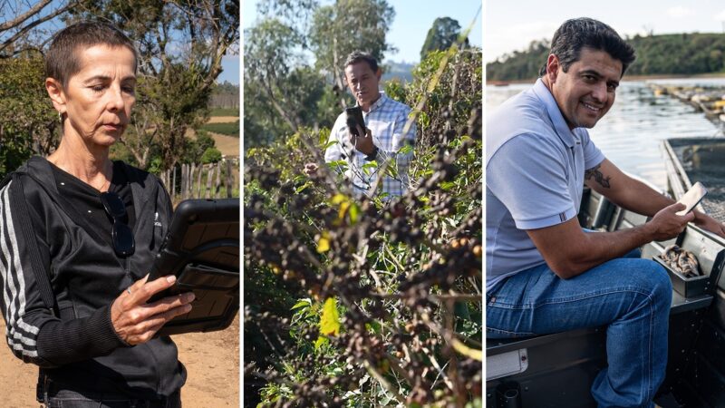 Mais do que drones sobrevoando a lavoura: como a chegada da internet mudou a vida de agricultores em 4 anos
