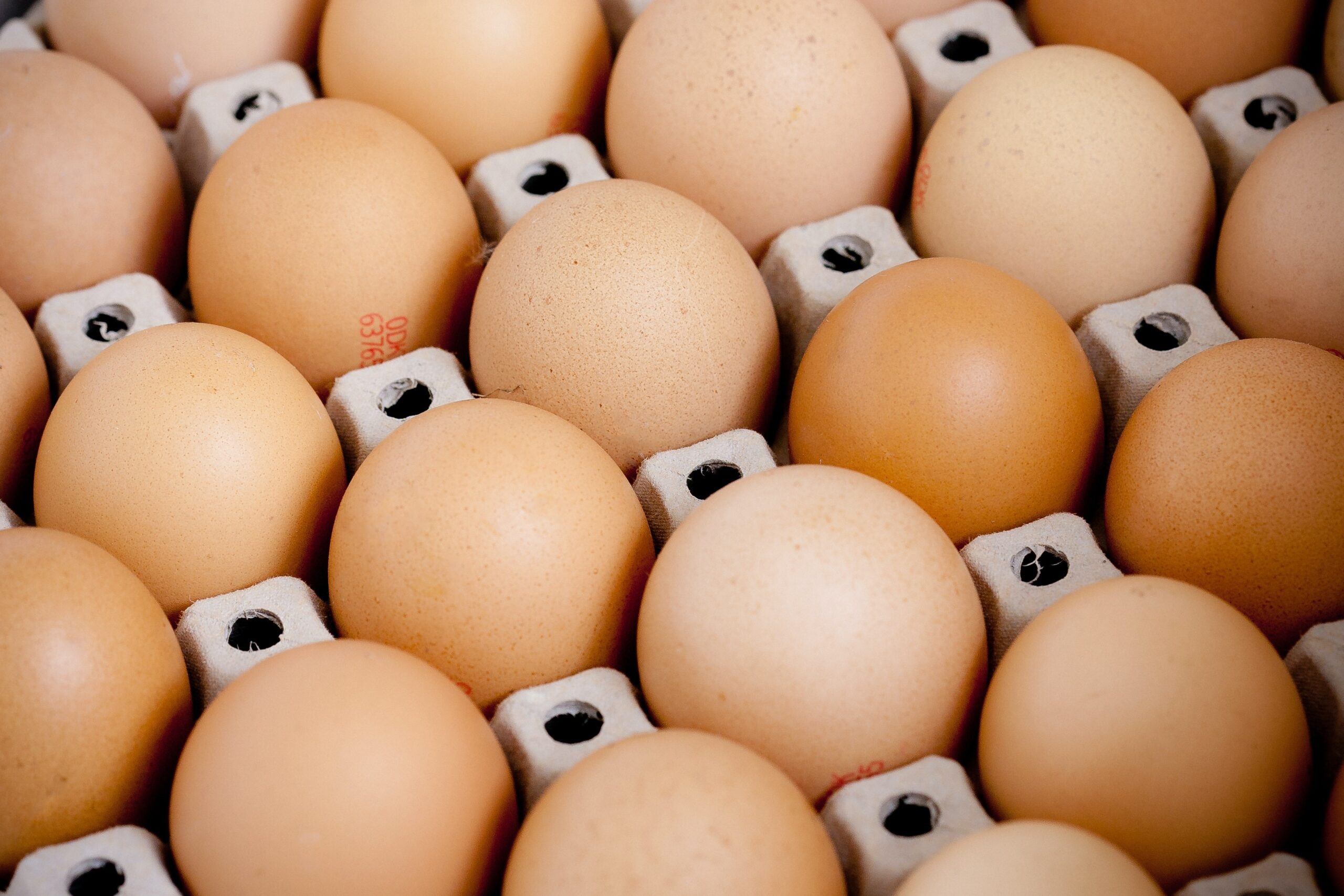Exportações de frango podem cair neste ano, mas vendas de ovos devem disparar, diz associação
