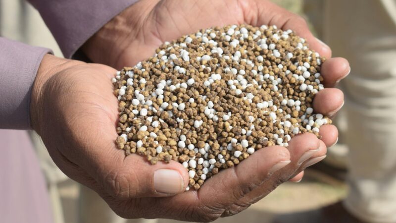 Dependência de fertilizantes russos deixa Brasil vulnerável a mais taxações dos EUA