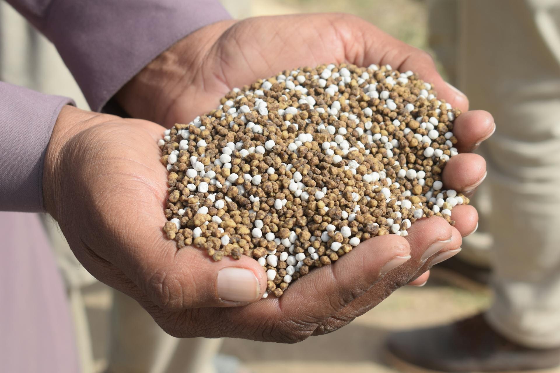 Dependência de fertilizantes russos deixa Brasil vulnerável a mais taxações dos EUA