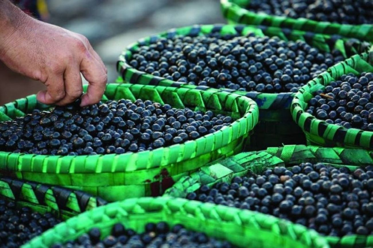 Edital que vetou açaí e tucupi na COP de Belém é revisto após pedido do ministro do Turismo