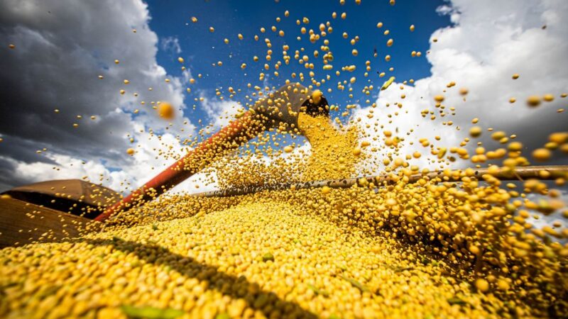 Colheita de grãos bate recorde no Brasil e chega a 350 milhões de toneladas
